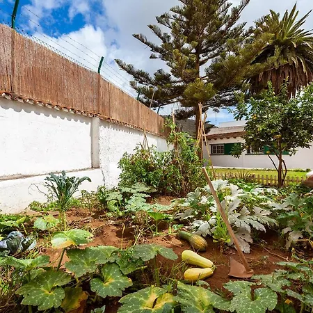 Patio Hostel (Adults Only)-3